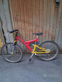 Mountain bike ragazzo diametro 26