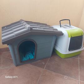 casetta cuccia e lettiera per gatti
