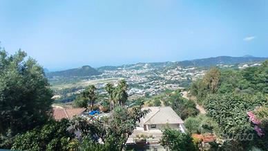 Pianura Via Comunale Masseria Grande Rif.432V