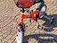 Immagine 2