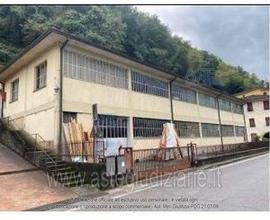 Capannone Industriale Borgo a Mozzano [A4309624]