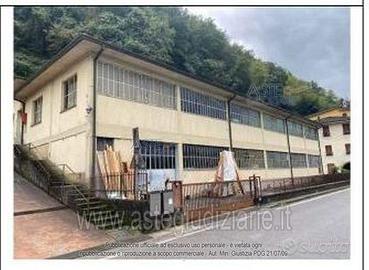 Capannone Industriale Borgo a Mozzano [A4309624]