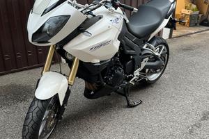 Tiger 1050 SE del 2006