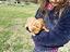 Immagine 4