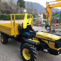 Moto agricola pasquali ribaltabile