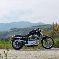 Harley davidson sportster + Pezzi