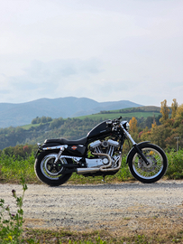 Harley davidson sportster + Pezzi