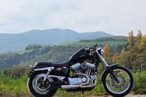 Harley davidson sportster