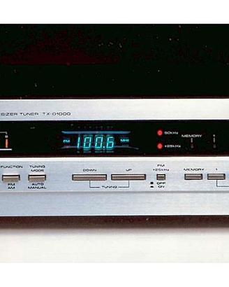 Sintonizzatore Digitale Pioneer TX D1000