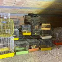 GABBIE UCCELLI VARIE DIMENSIONI