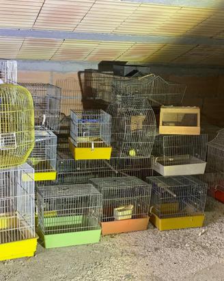 GABBIE UCCELLI VARIE DIMENSIONI