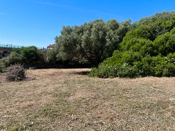 Terreno edificabile Sa Minda Noa (Olbia) -