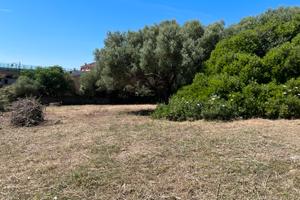 Terreno edificabile Sa Minda Noa (Olbia) -