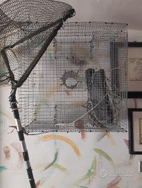 nassa per pesca di crostacei