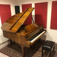 Pianoforte PETROF codino