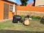 Immagine 13