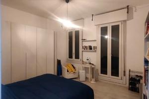 Subentro stanza Modena vicina al centro da subito