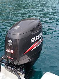 fuoribordo Suzuki 250 CV AP. XXL 