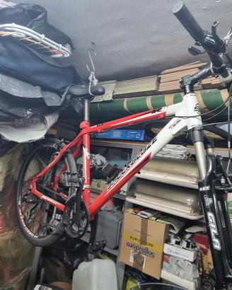 bici mtb da 26