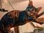 Immagine 2