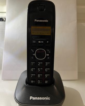Cordless Panasonic KX-TGA161EX