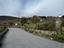 Immagine 12