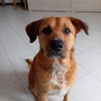 SKY: 2 anni di bontà