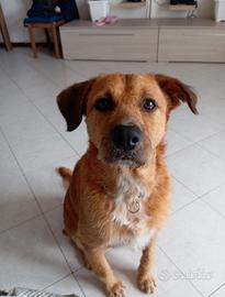 SKY: 2 anni di bontà