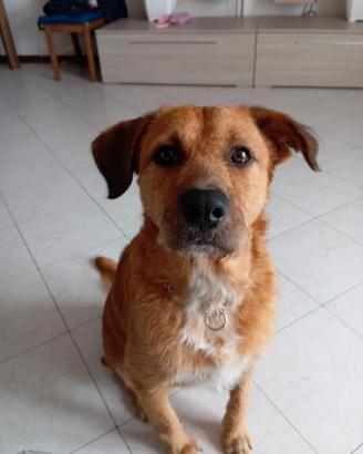 SKY: 2 anni di bontà