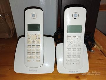 Coppia telefoni portatili