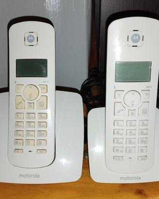 Coppia telefoni portatili