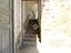 Immagine 15