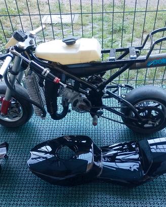 Minimoto da pista a liquido(cilindro TM) da Finire