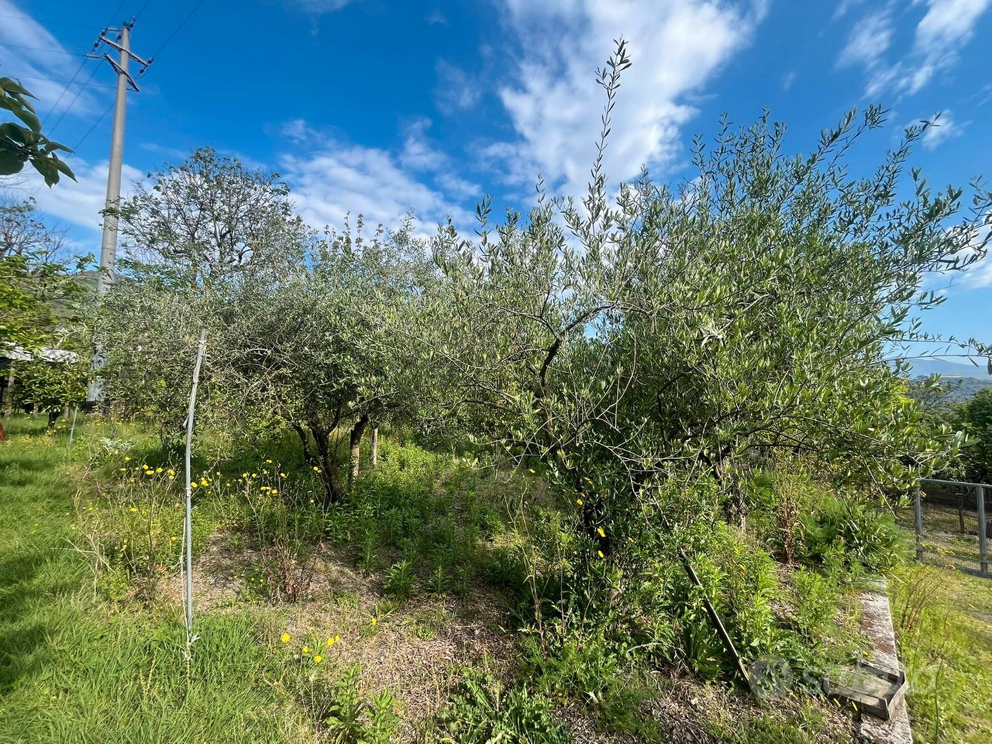 Terreno agricolo - zona montalbino - Vista 4