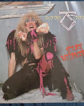Disco vinile 