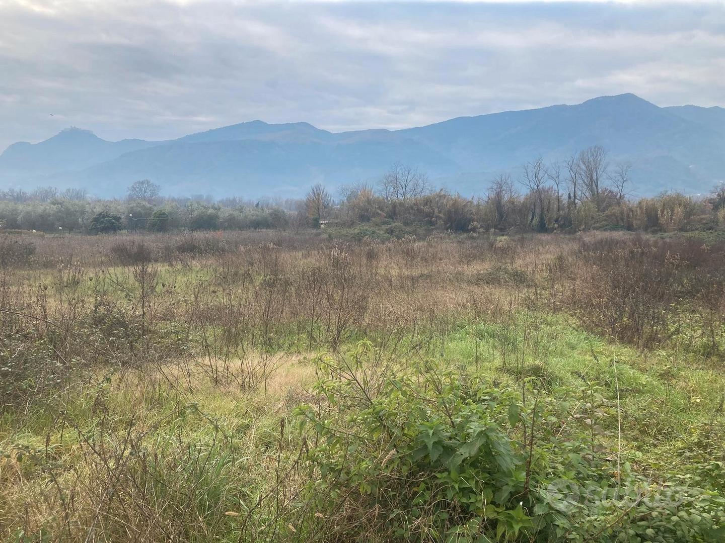 Terreno agricolo pianeggiante - Vista 4