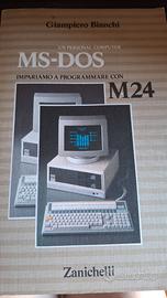 Impariamo a programmare computer MS-DOS