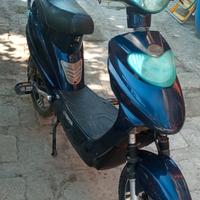 bicicletta scooter elettrico a pedalata assistita