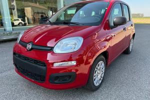 FIAT Panda My25 1.0 70cv Hybrid Panda