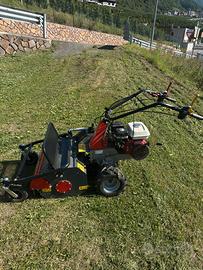 Trinciasementi professionale Benassi T603H