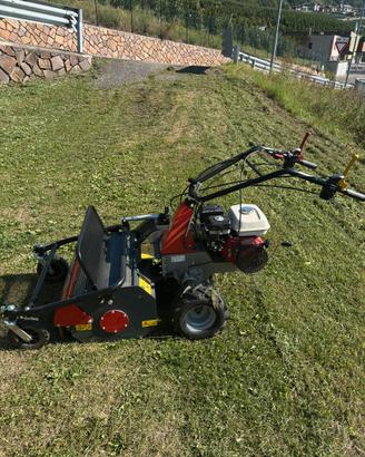 Trinciasementi professionale Benassi T603H