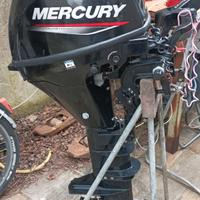 Mercury 9.9