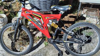 Bicicletta