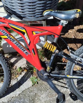 Bicicletta