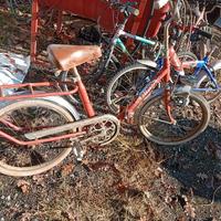 8 biciclette 80 euro 