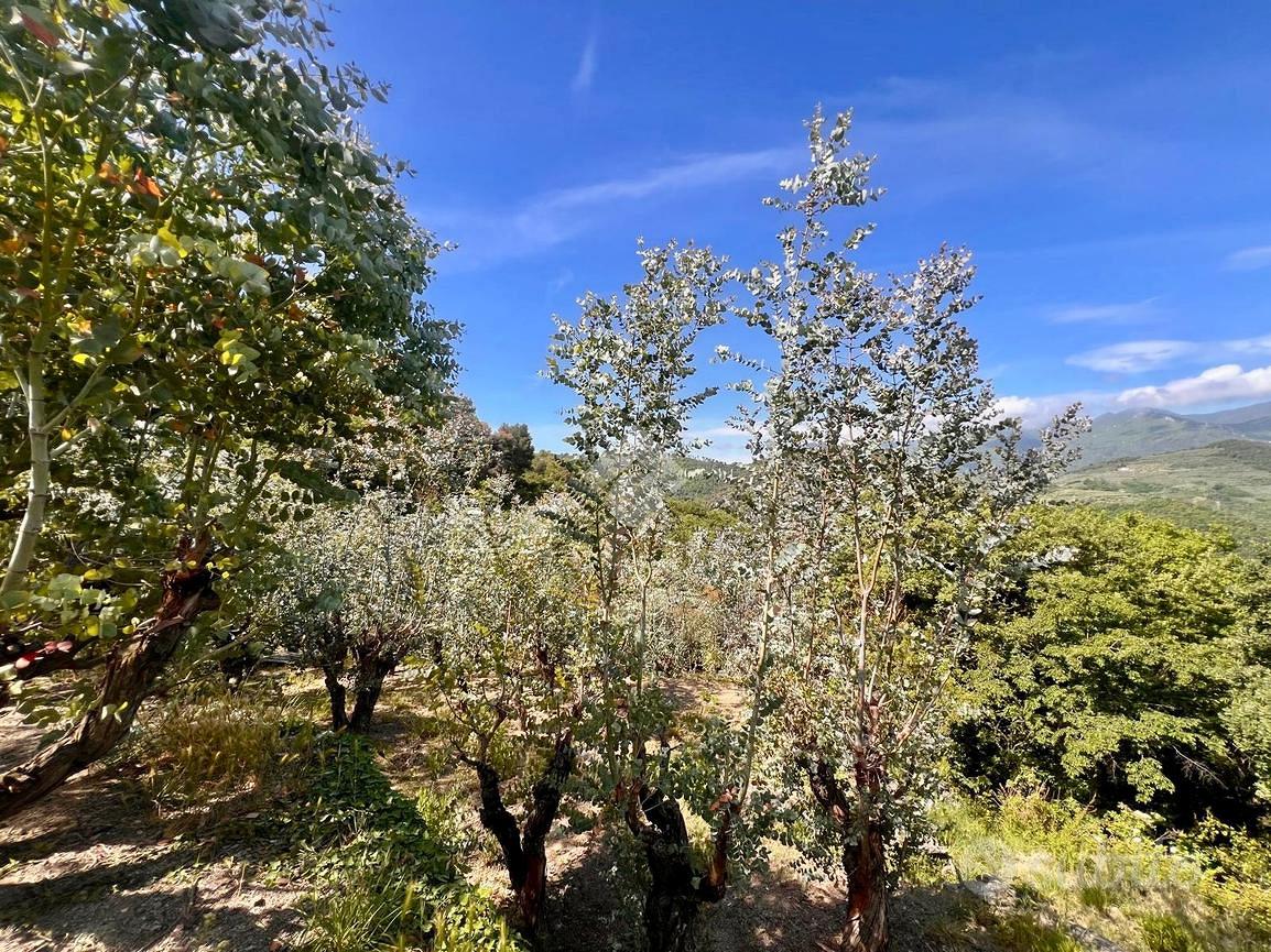 TER. AGRICOLO A FINALE LIGURE - Altro