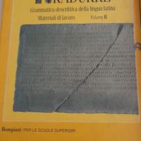 Comprendere e tradurre Grammatica descrittiva lati