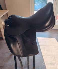 premuto sella con puledro