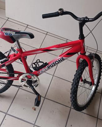 bicicletta 20 pollici