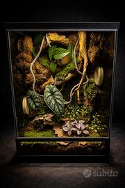 Terrario Tropicale 30x30x45